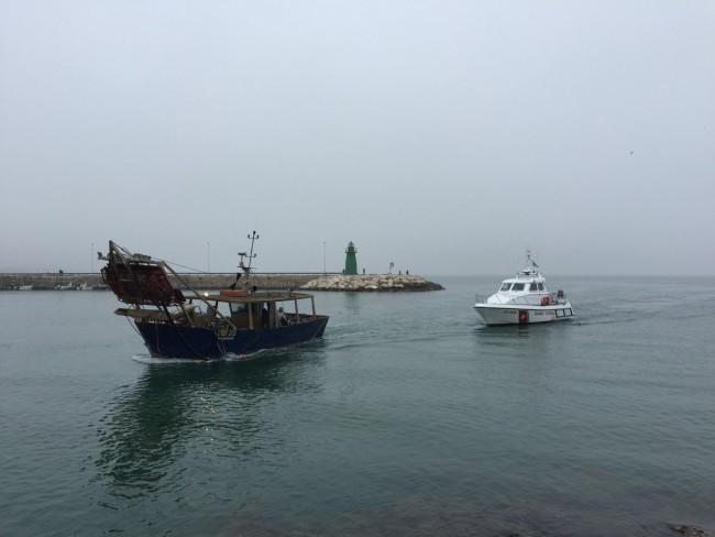 Una delle vongolare uscite in mare mentre rientra in porto scortata dalla Capinateria