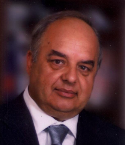 Enrico Domizi
