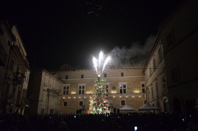 albero 2