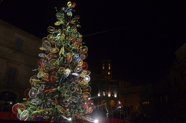 albero 4