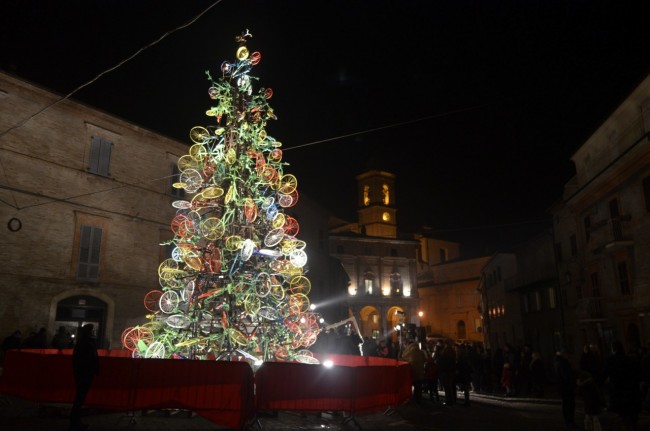 albero 5