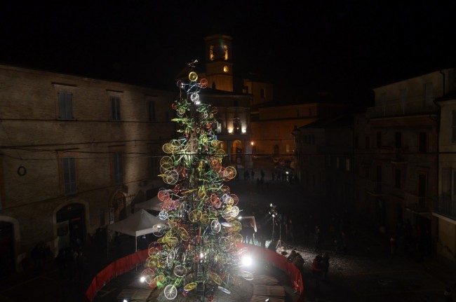 albero 6