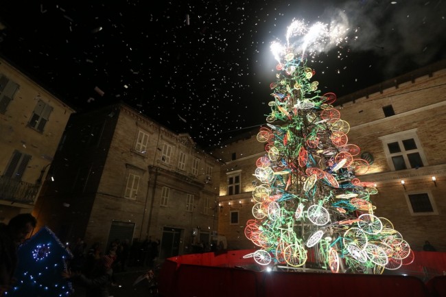albero