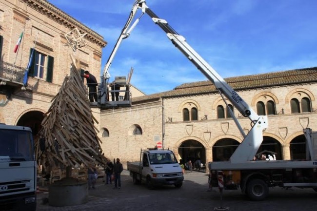 albero montelupone 3