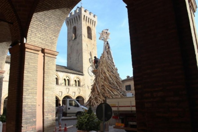 albero montelupone 4