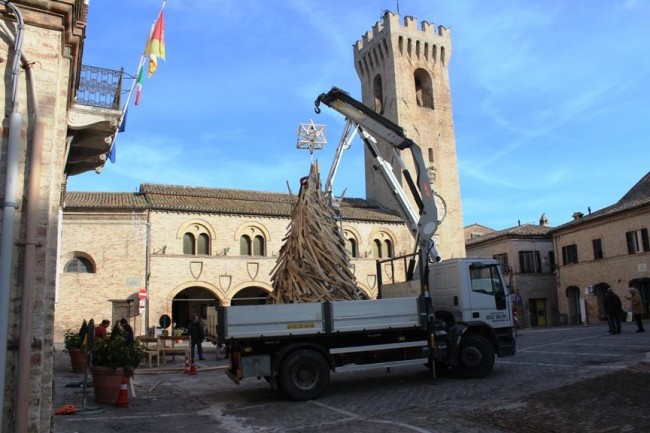 albero montelupone 6