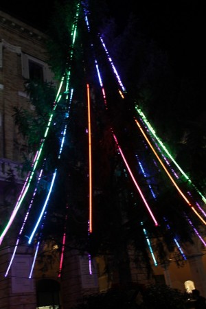 albero natale macerata (3)