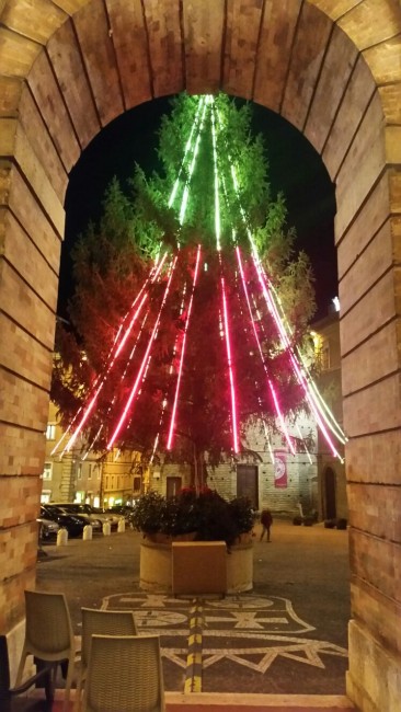 albero natale macerata nuovo