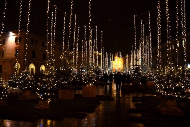 bosco urbano 3