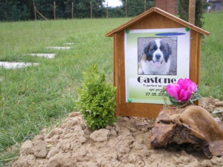 cimitero animali
