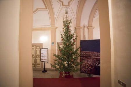 conferenza in Provincia albero di natale foto ap (2)