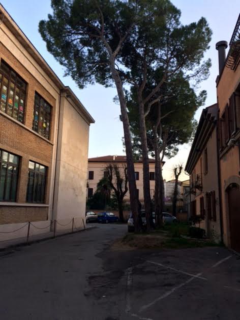 don bosco pini