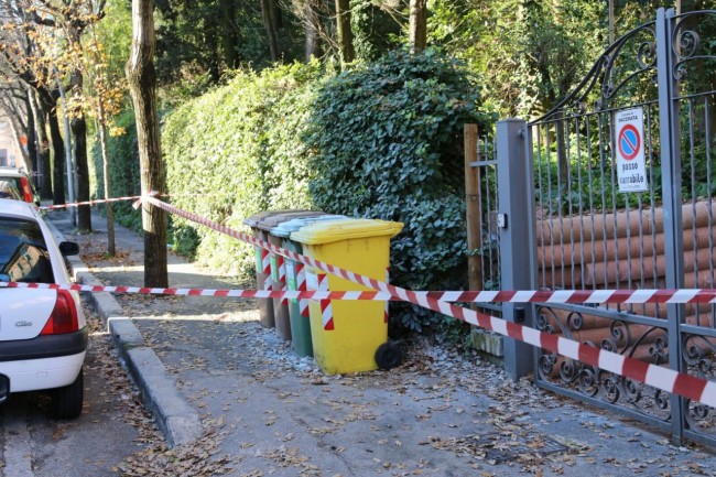 f.lli stagnaro12