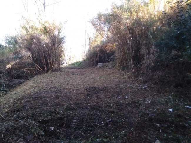 pulizia ponte villa potenza 2
