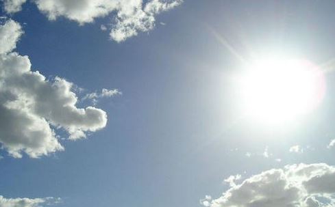 sole