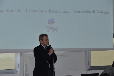 Pierluigi Strippoli