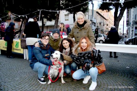 SantAntonio-benedizione-animali-14-450x300