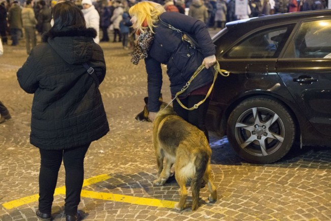 capodanno a macerata piazza libertà 2016 foto ap (7)