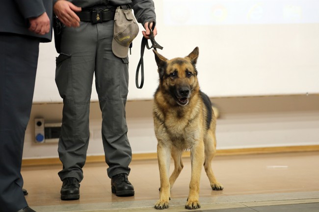 Guardia di Finanza a Ragioneria Macerata_Foto LB (6)