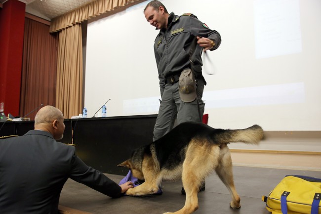 Guardia di Finanza a Ragioneria Macerata_Foto LB (9)