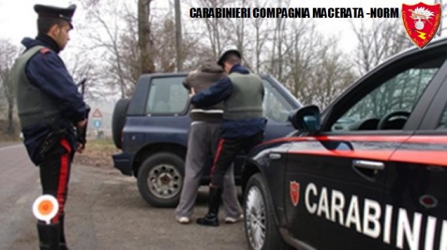 Coltivazione marijuana droga carabinieri (28)