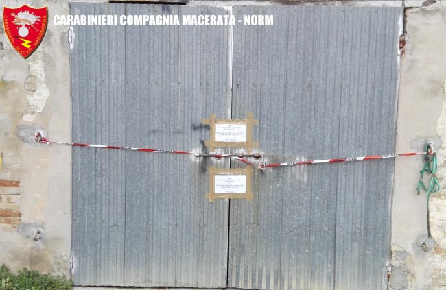 Coltivazione marijuana droga carabinieri (30)