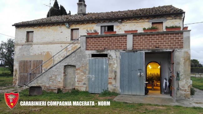 Coltivazione marijuana droga carabinieri (33)
