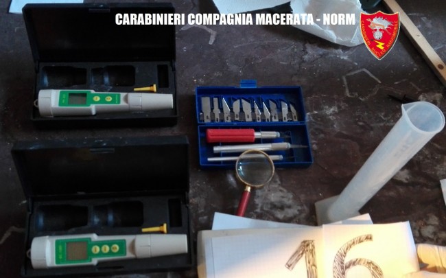 Coltivazione marijuana droga carabinieri (49)