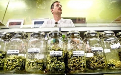 cannabis terapeutica 2