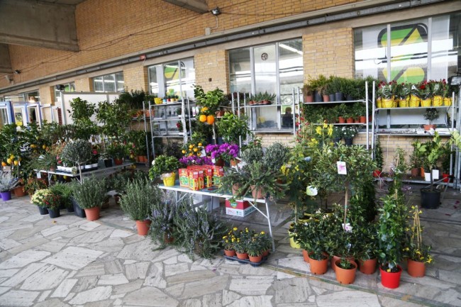 fiera del progetto verde centro fiere villa potenza foto ap (13)