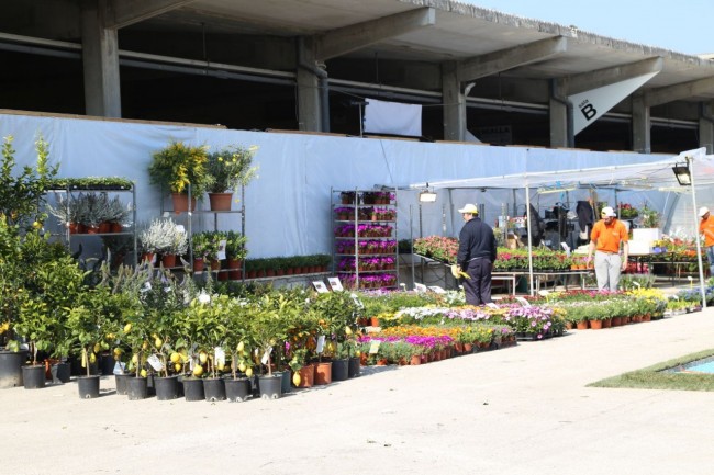 fiera del progetto verde centro fiere villa potenza foto ap (18)