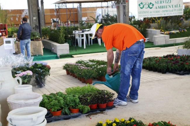 fiera del progetto verde centro fiere villa potenza foto ap (20)