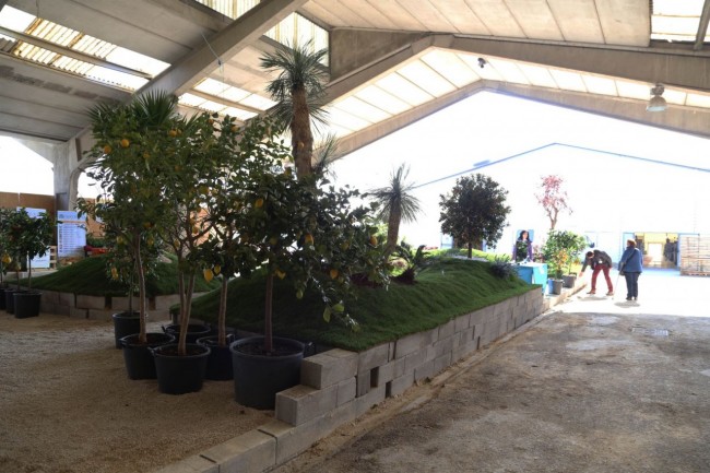 fiera del progetto verde centro fiere villa potenza foto ap (22)