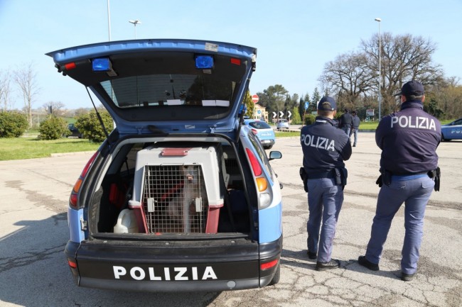 posto di blocco polizia villa potenza foto ap (1)