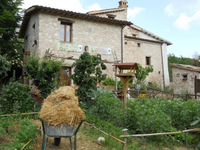 quercia della memoria