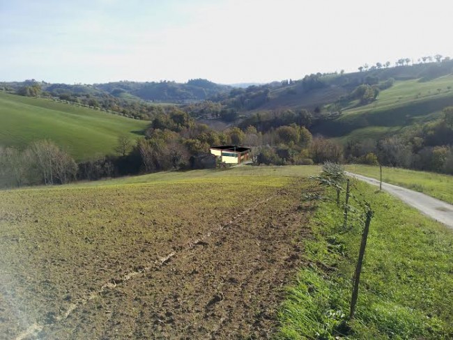 L'area dove sorgerà l'impianto