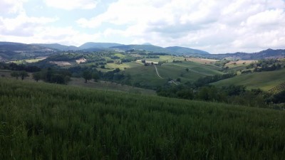 la zona
