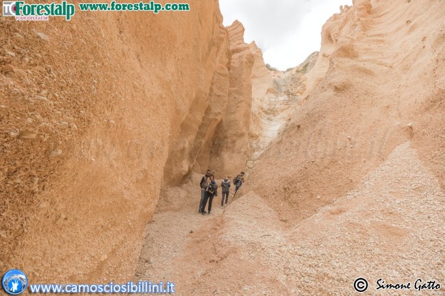 lame_rosse_simone_gatto-8-650x433