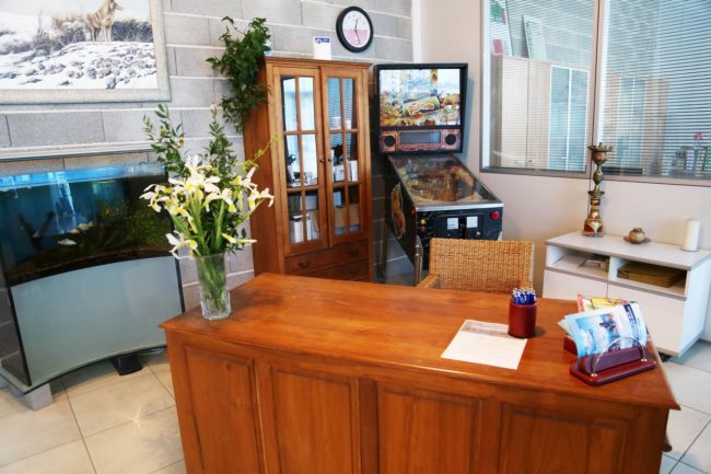 azienda splendiani loro piceno foto ap (16)