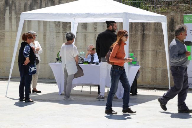 azienda splendiani loro piceno foto ap (18)