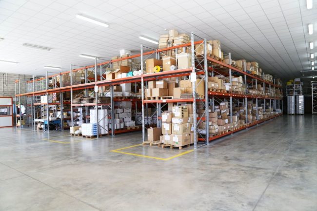azienda splendiani loro piceno foto ap (21)