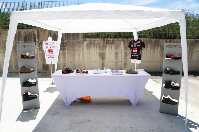 azienda splendiani loro piceno foto ap (27)