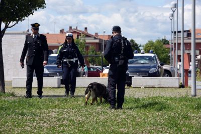 Il cane antidroga Anita del nucleo cinofili di Pesaro