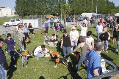 dog-park-8-400x267