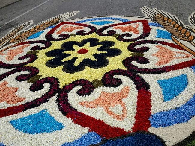 infiorata-castelraimondo-2016-27-650x488