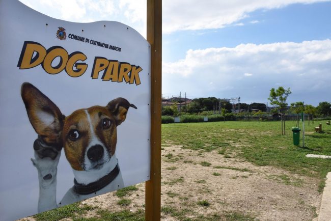 polpette-avvelenate-dog-park-civitanova-6-650x434