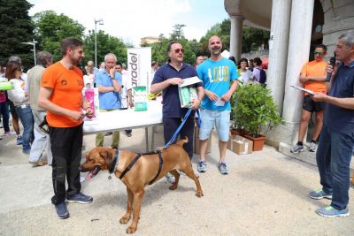 stramacerata-2016-cane-più-grande-giampiero-elisei-con-rollo-foto-ap-21-400x267