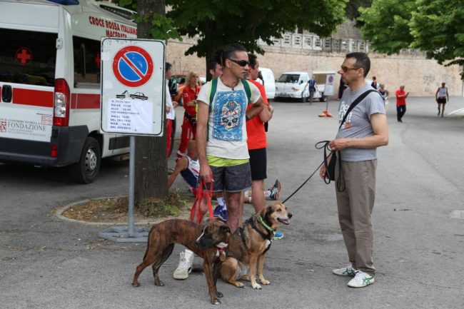 stramacerata 2016 foto ap (5)