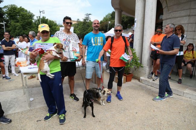 stramacerata 2016 gara canina maschi a sx adelmo tombesi con maya, a dx gianluca urbani con maggie foto ap (20)
