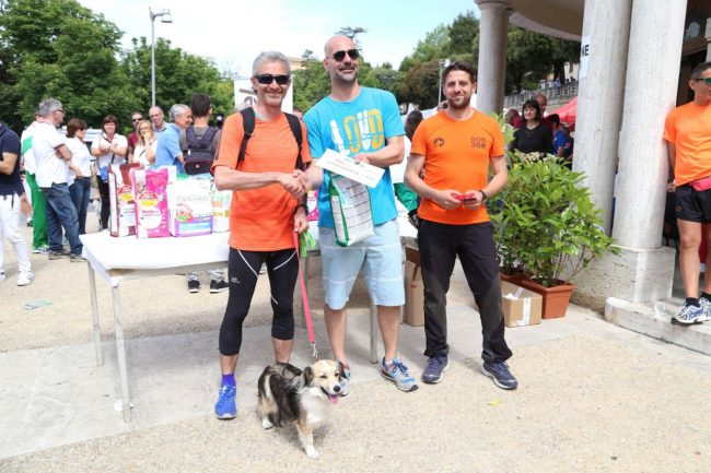 stramacerata 2016 gara canina primo gianluca urbani con maggie foto ap (17)